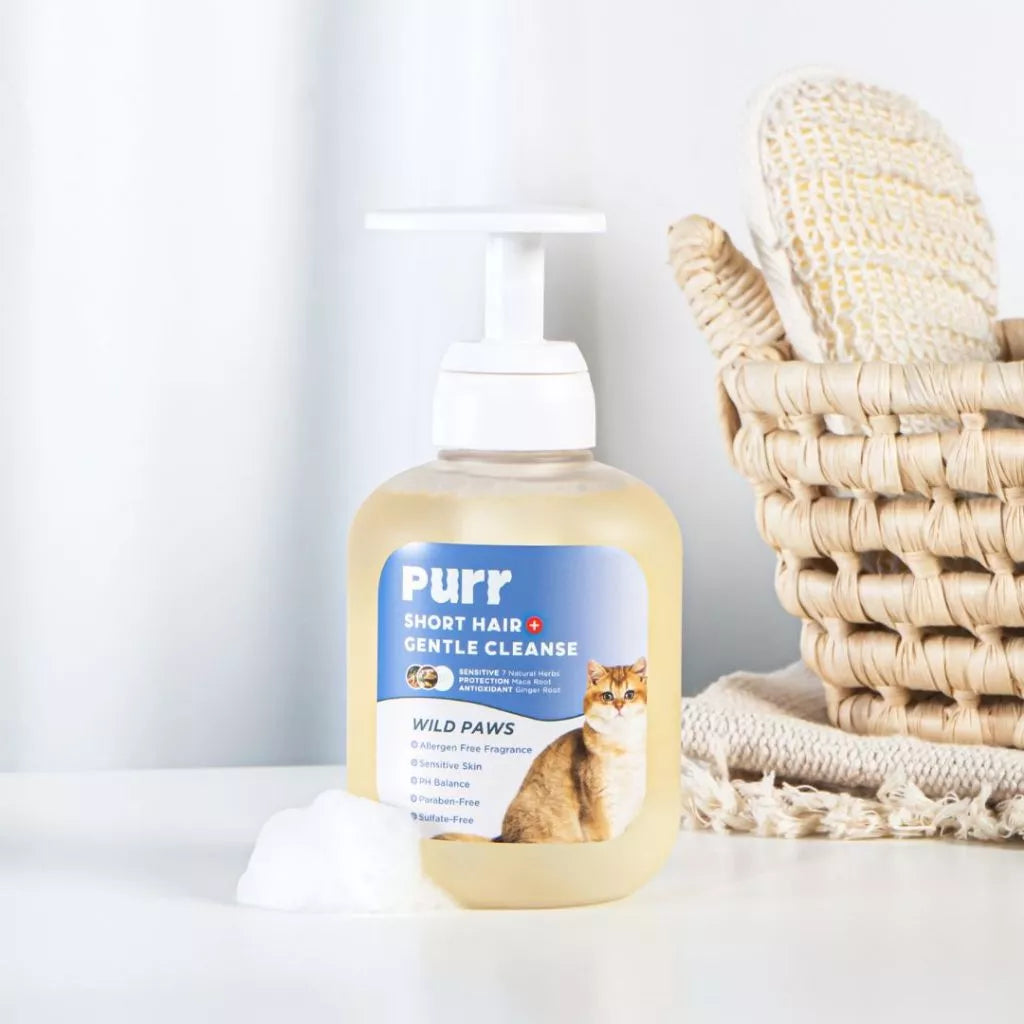 PURR Short Hair Gentle Cat Shampoo 1L (Wholesale)