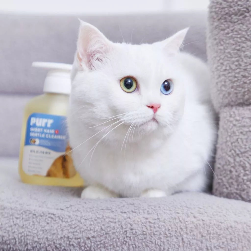 PURR Short Hair Gentle Cat Shampoo 60ml (Wholesale)