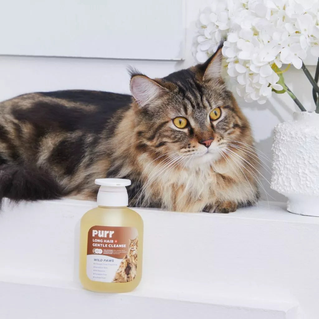 PURR Long Hair Gentle Cat Shampoo 300ml (Wholesale)