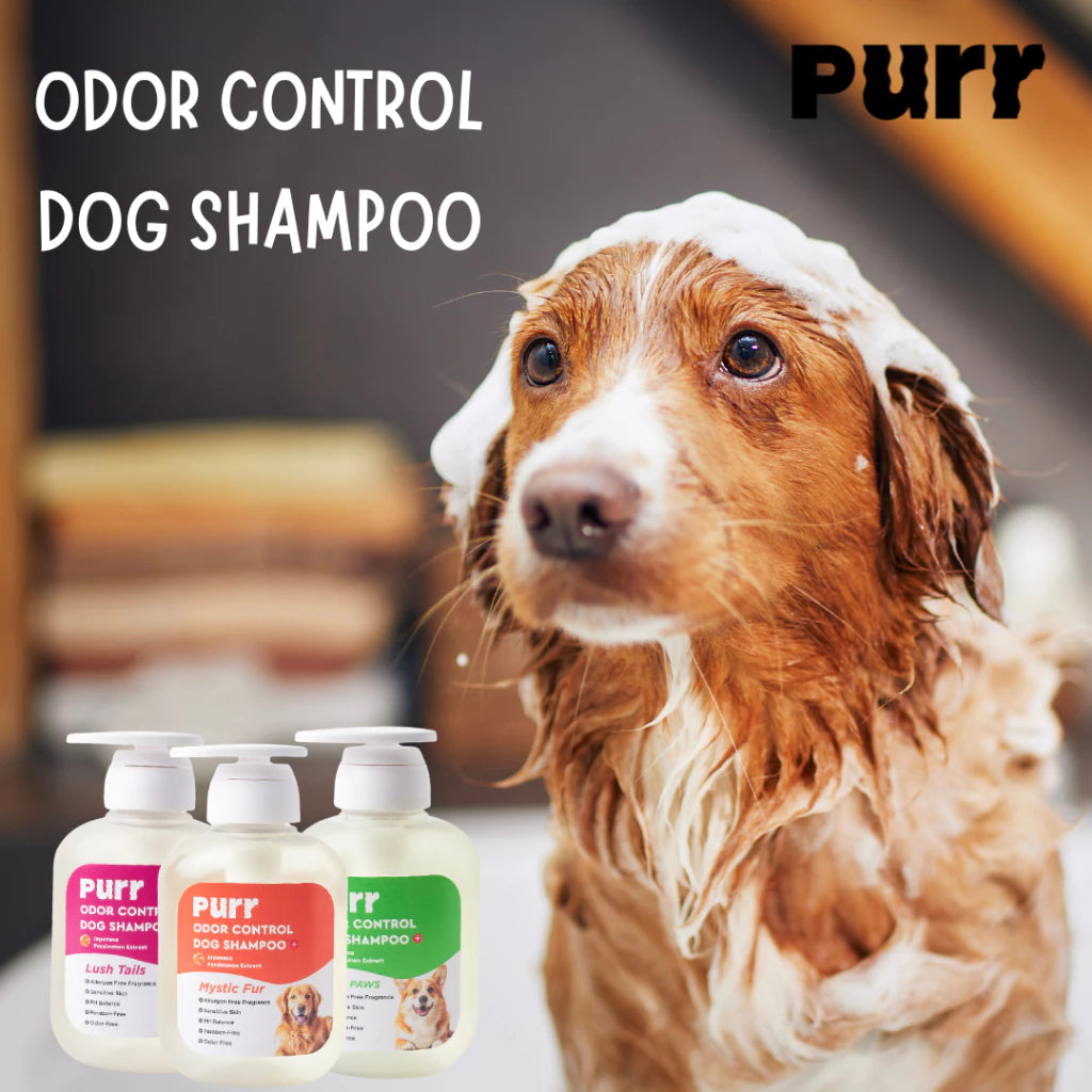 PURR Odor Control Dog Shampoo (Wholesale)